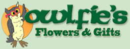 Owlfies Flowers